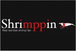 Shrimppin ピントビー　販売中